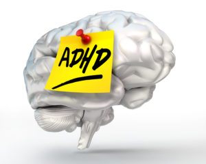 ADHD Brain