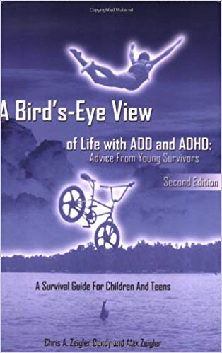 a-birds-eye-view