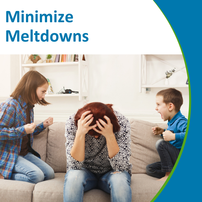 Minimize Meltdowns_ Store