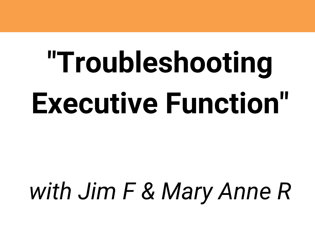 Troubleshooting Executive Function